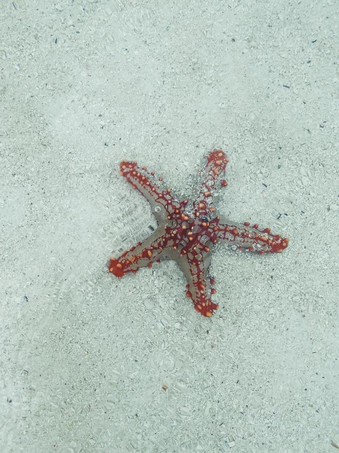 Crystal Beach ナングウィ エクステリア 写真